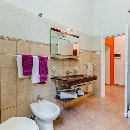 Saint Peter רומא